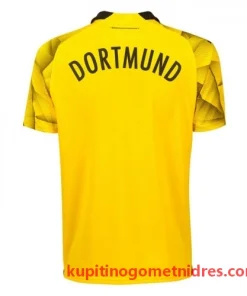 Alternative view of BVB Borussia Dortmund Cup Nogometni Dresi 2023/24