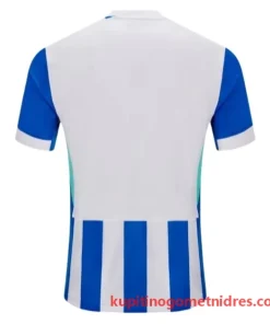 Alternative view of Brighton and Hove Albion Nogometni Dresi Domači 2025/26