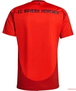 Alternative view of FC Bayern München Nogometni Dresi Domači 2024/25