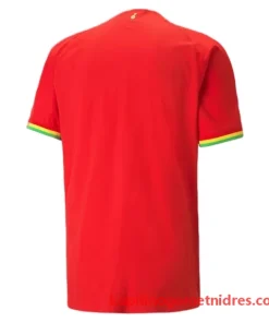 Alternative view of Gana Nogometni Dresi Gostujoči 2022