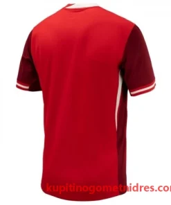 Alternative view of Kanada Nogometni Dresi Domači 2024