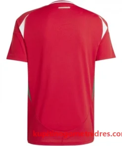 Alternative view of Madžarska Nogometni Dresi Domači 2024