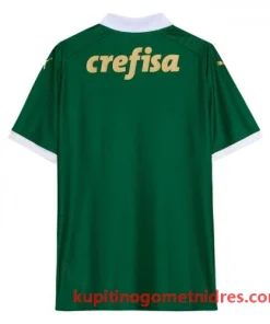 Alternative view of Palmeiras Nogometni Dresi Domači 2024/25